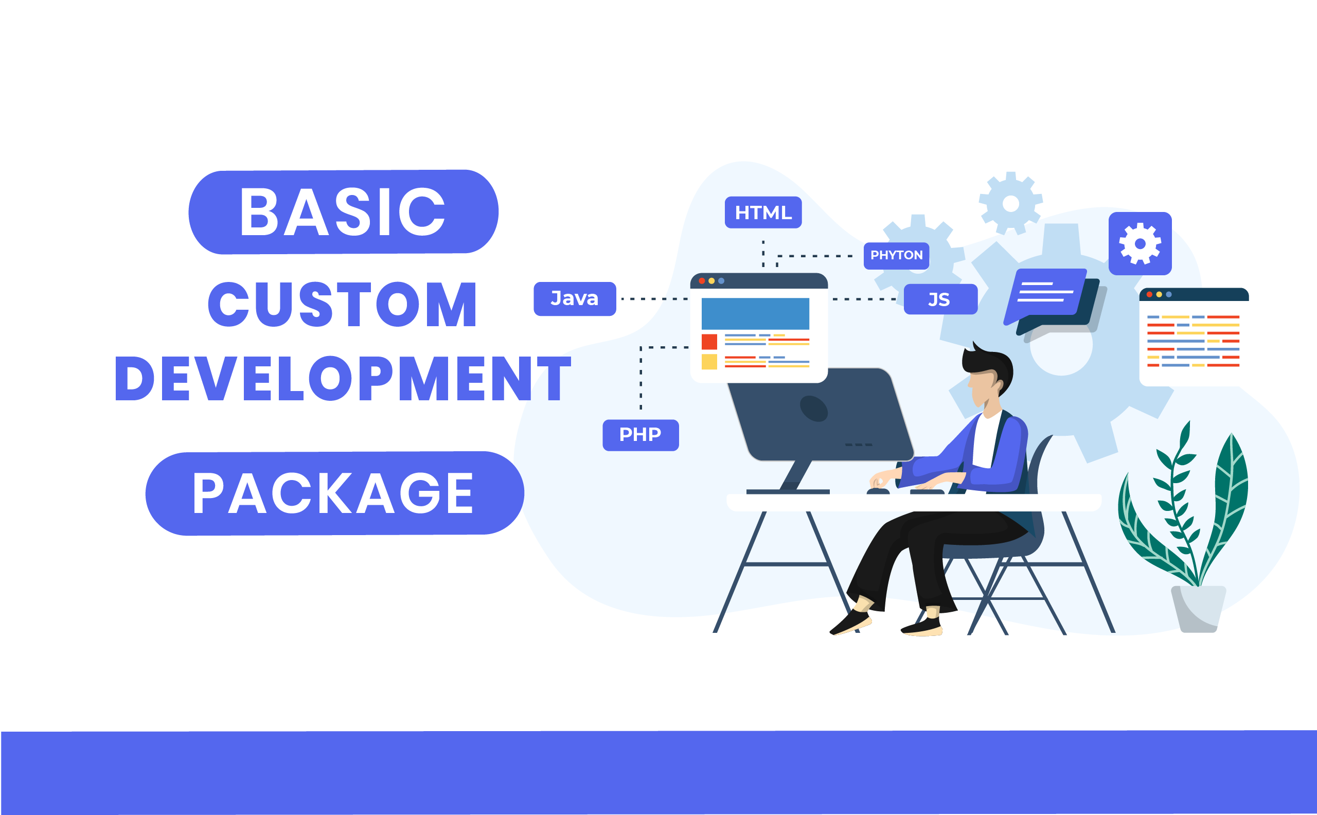 Basic Custom Development Package